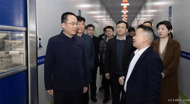 市委市政府主要领导到1946伟伟德新能源调研复工复产